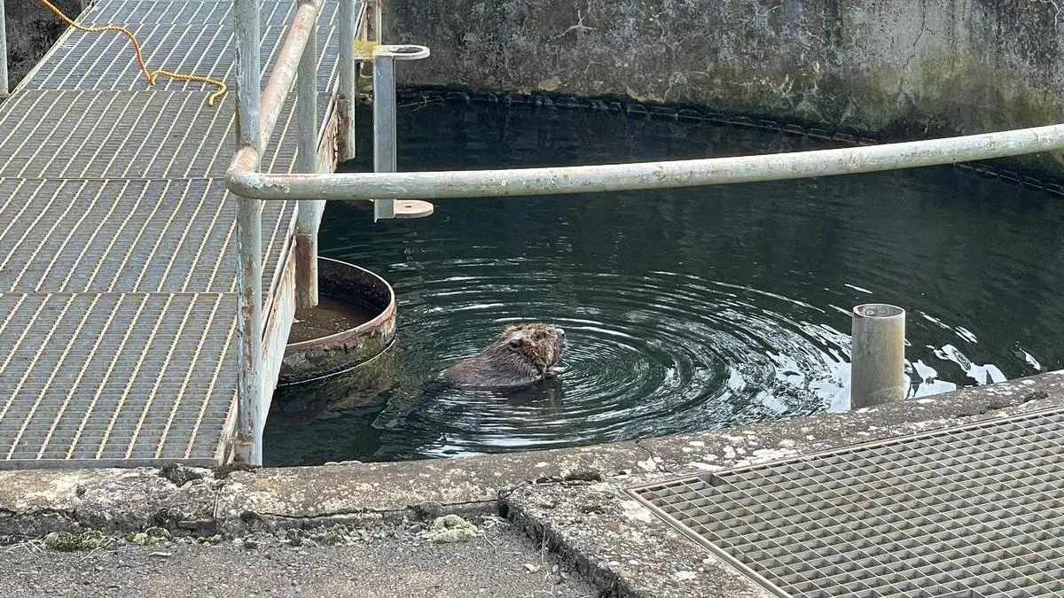 Mariafagredano leaked porn to narrow your search please try